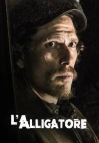 L'alligatore