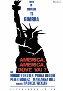America, America, dove vai?