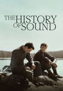 The History Of Sound - Sulle note di un amore