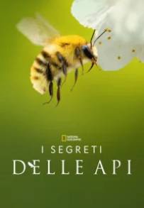 I segreti delle api