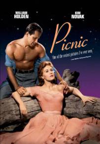 Picnic
